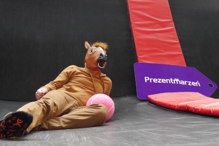 Koń pozuje do zdjęcia w Parku trampolin z reklama Prezent Marzeń com